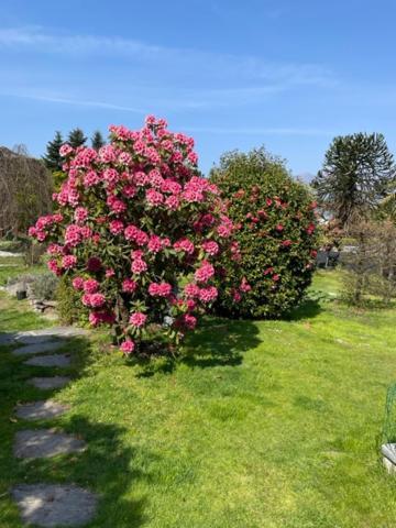 Appartamento Casa Cristina Gambarogno Esterno foto